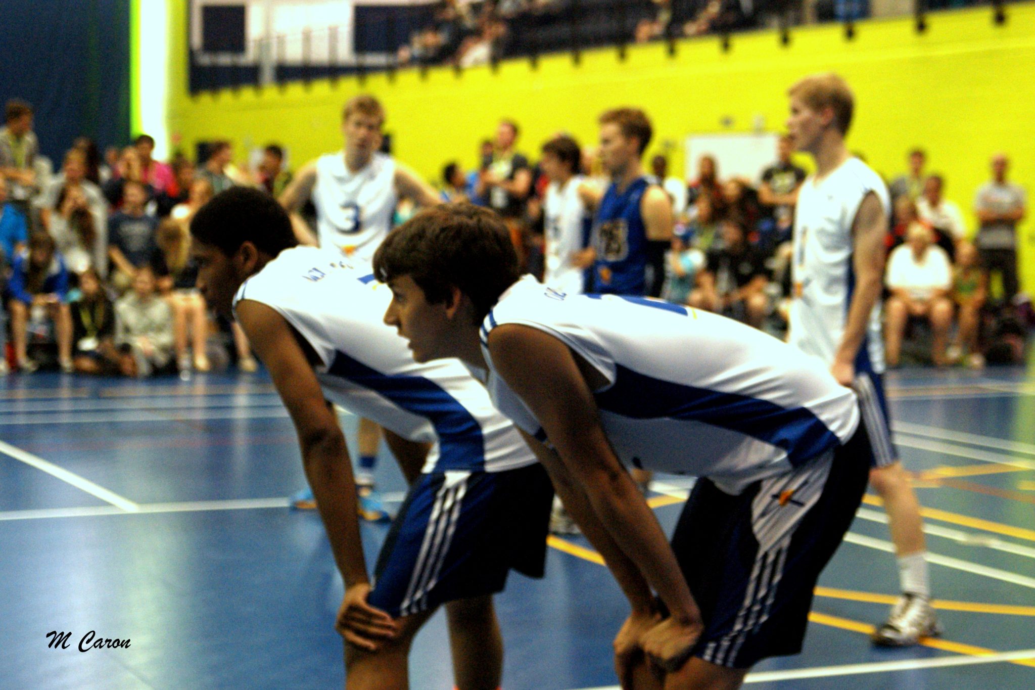 2014 sport volleyball gars