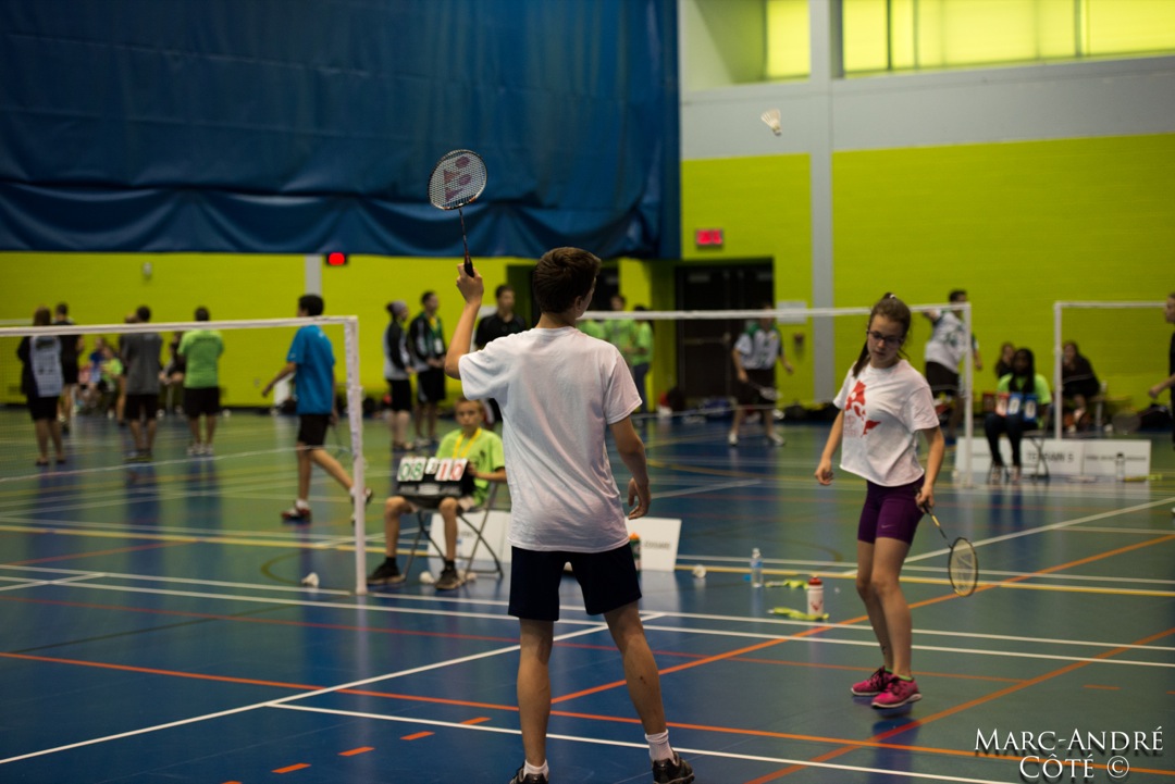 2014 sport badminton