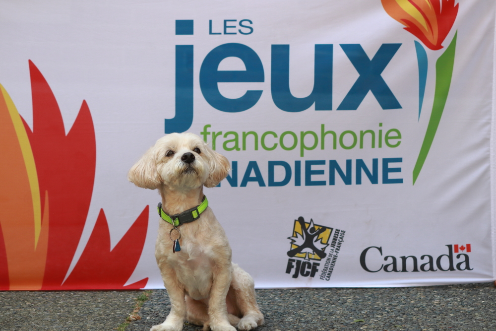 Baxter_IMG_0297