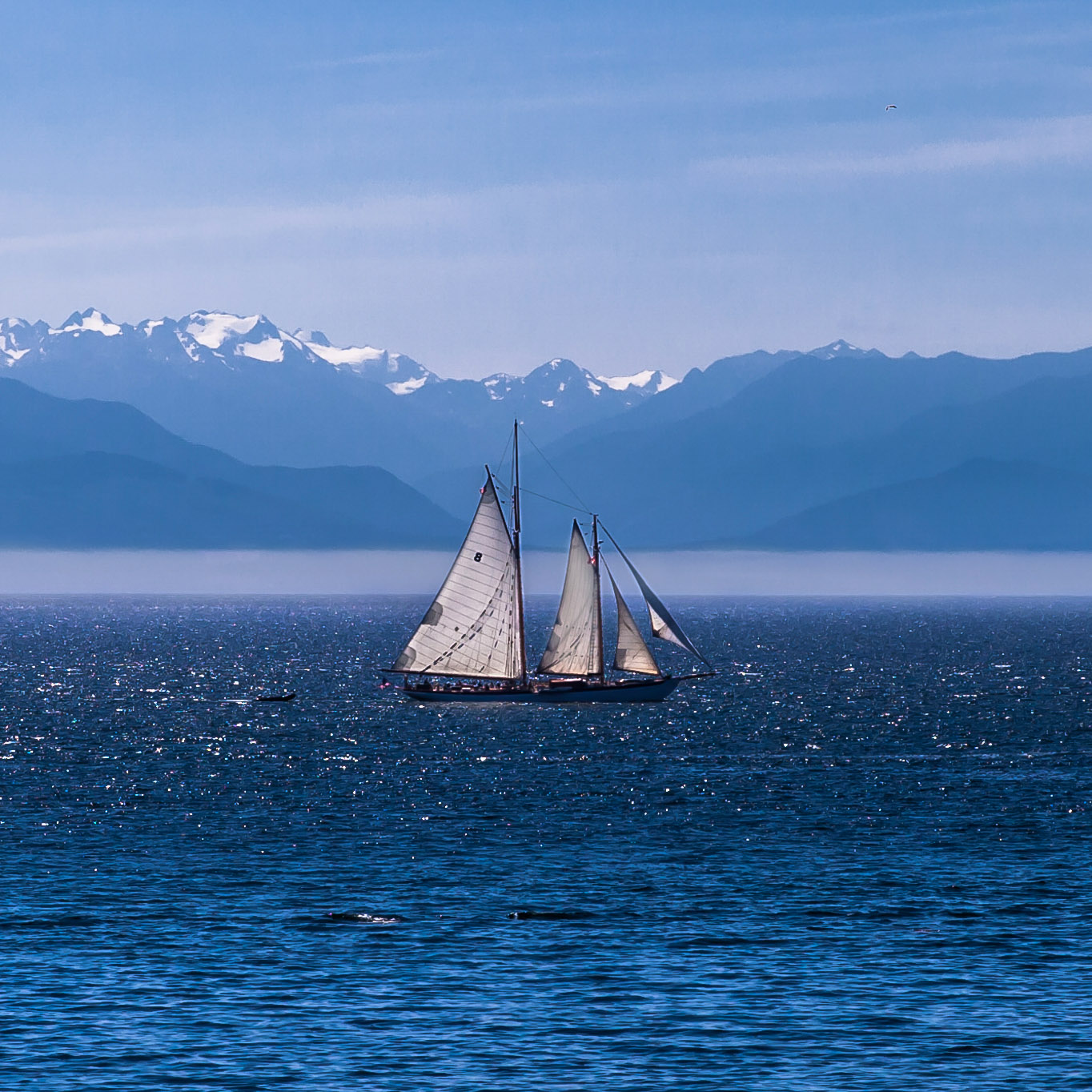 Voile